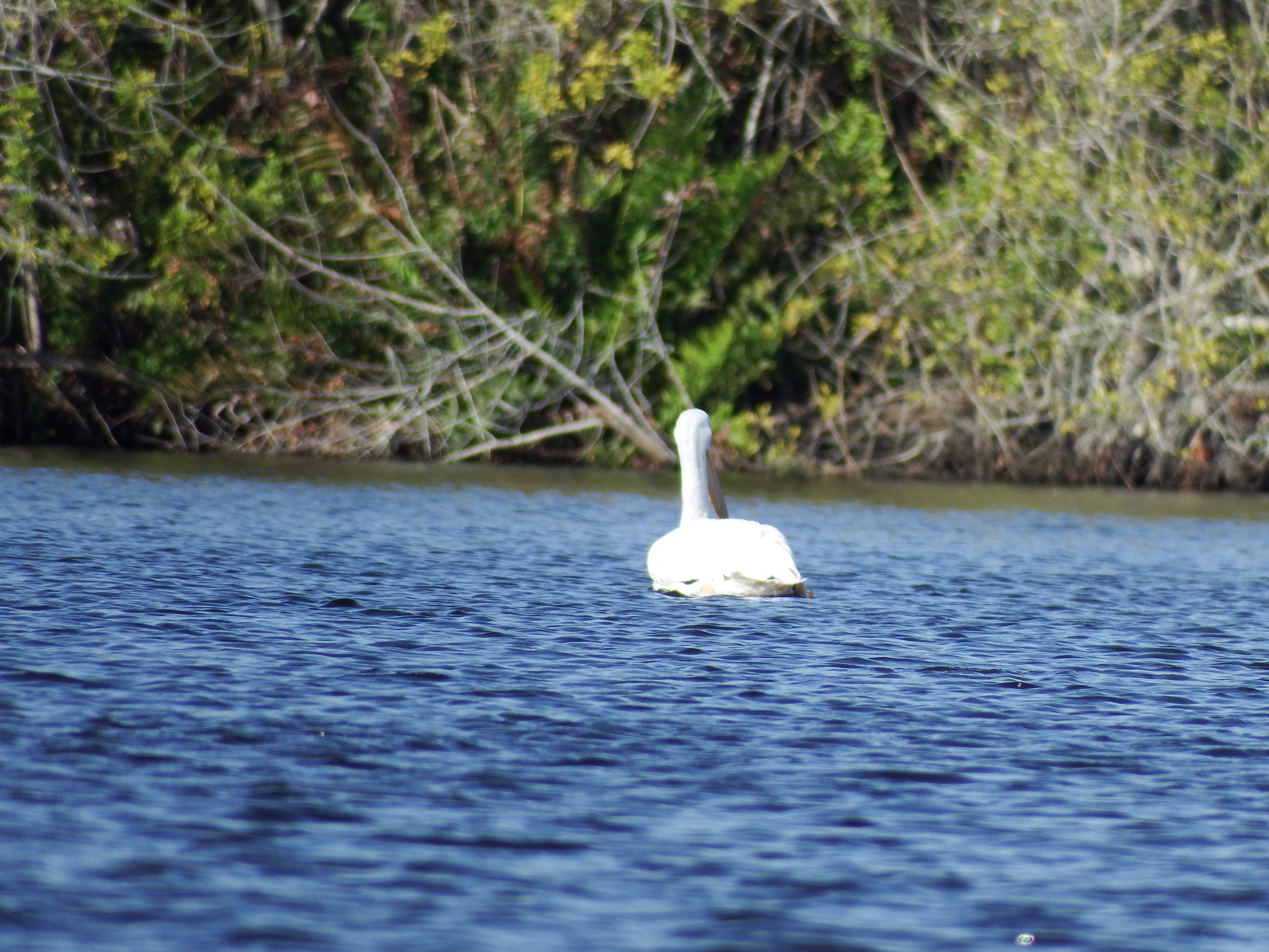 DSCF1073.JPG\n6,467.78 KB \n4608 x 3456 \n2/15/15\n