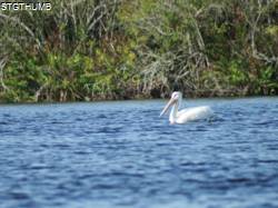 DSCF1077.JPG
6,674.92 KB
4608 x 3456
2/15/15