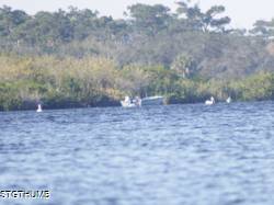 DSCF1078.JPG
6,019.98 KB
4608 x 3456
2/15/15