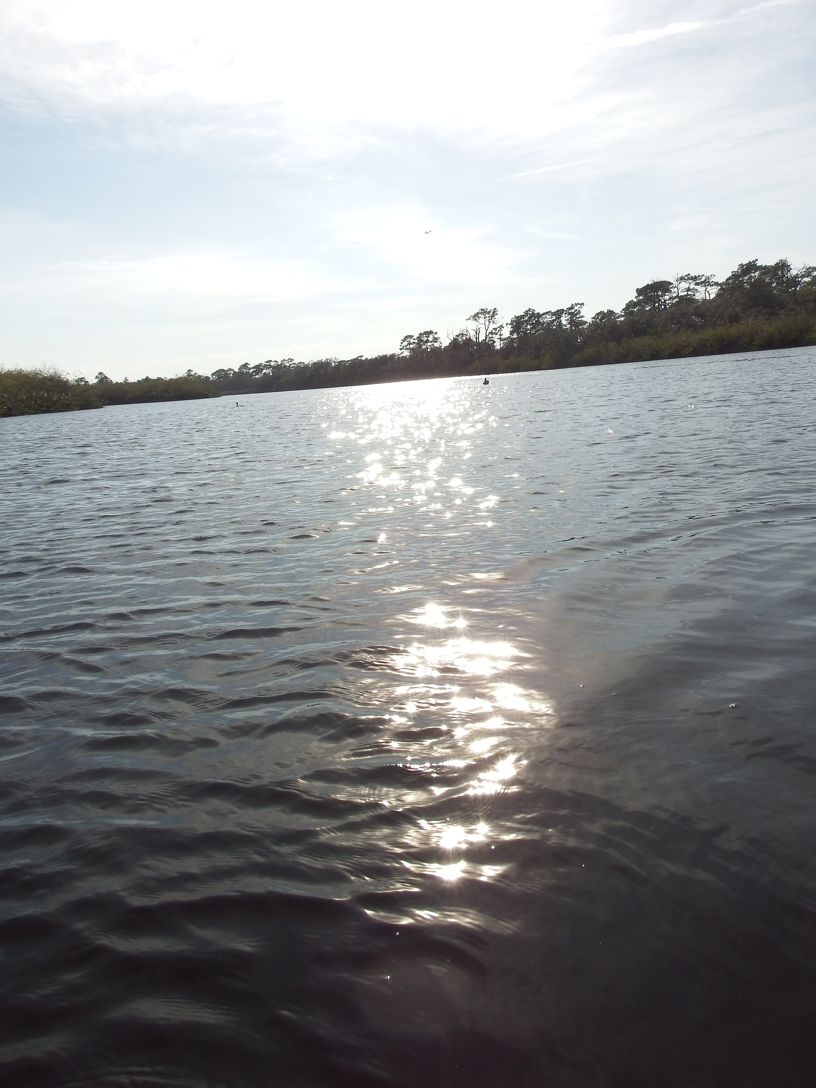 DSCF1086a.JPG\n5,528.57 KB \n3456 x 4608 \n4/13/15\n