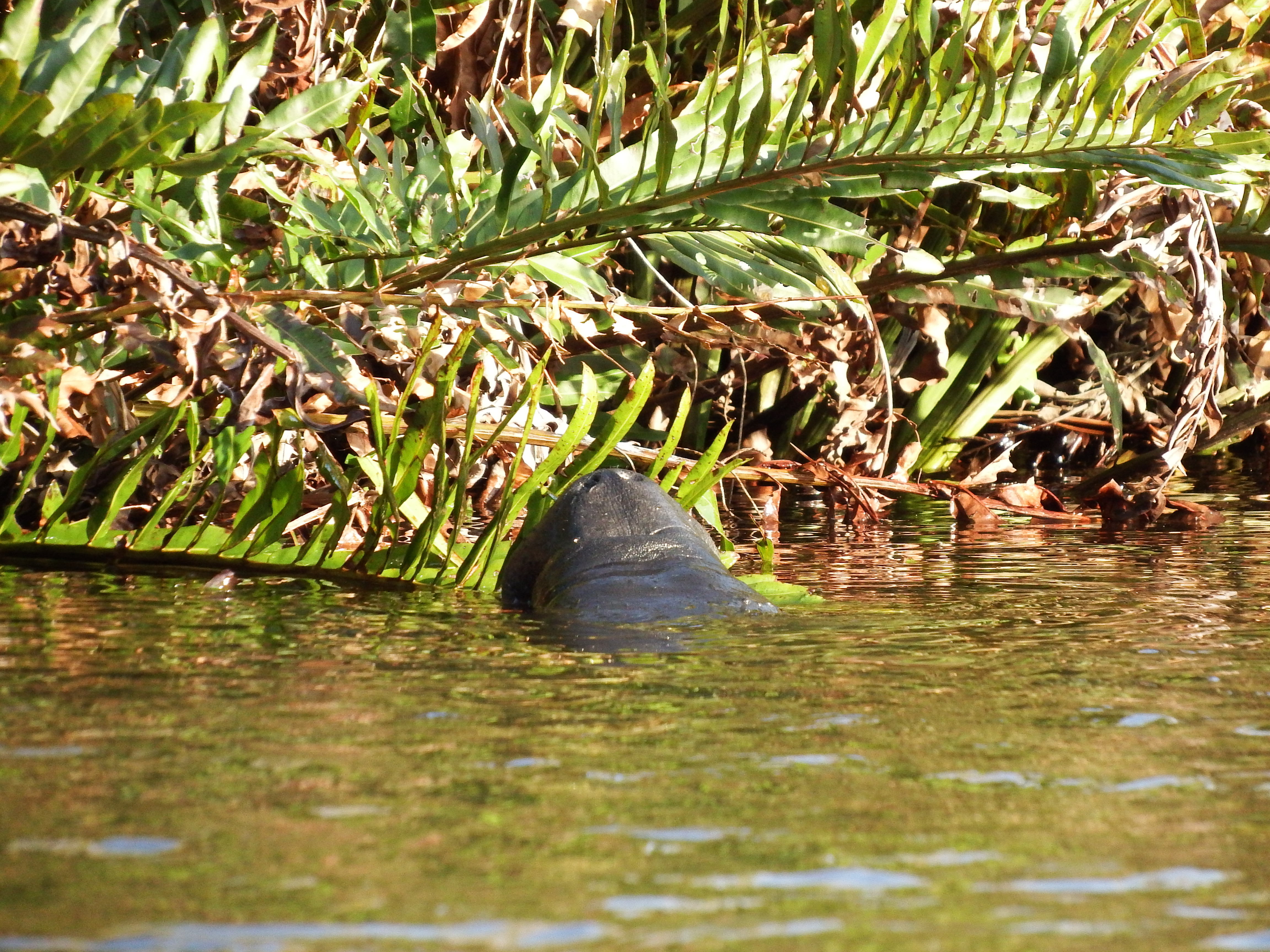 DSCF1093.JPG\n6,493.64 KB \n4608 x 3456 \n2/15/15\n