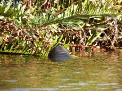DSCF1093.JPG
6,493.64 KB
4608 x 3456
2/15/15
