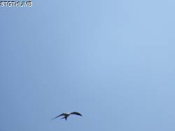 DSCF0216.JPG
5,562.73 KB
4608 x 3456
5/5/14