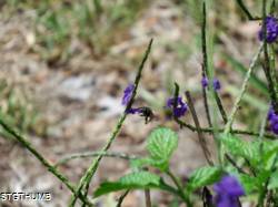 DSCF0348.JPG
6,797.76 KB
4608 x 3456
5/18/14