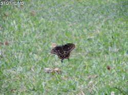DSCF0942.JPG
6,820.33 KB
4608 x 3456
6/20/14