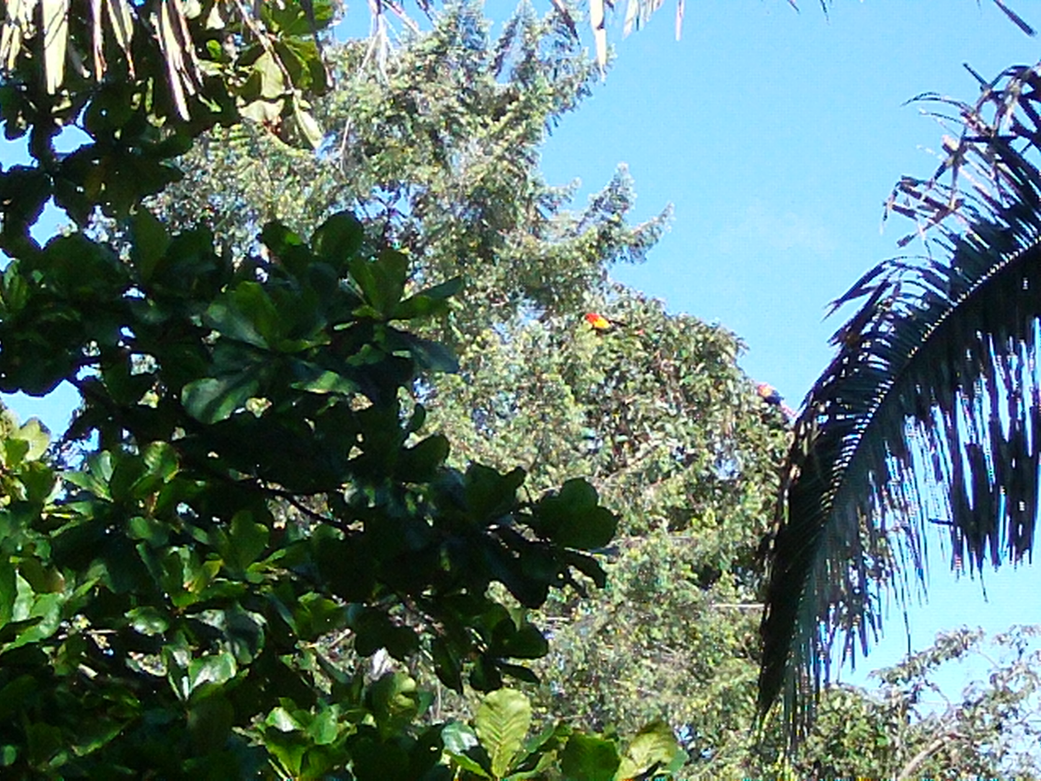 AMBA0106.JPG\n1,067.62 KB \n2048 x 1536 \n5/27/14\n