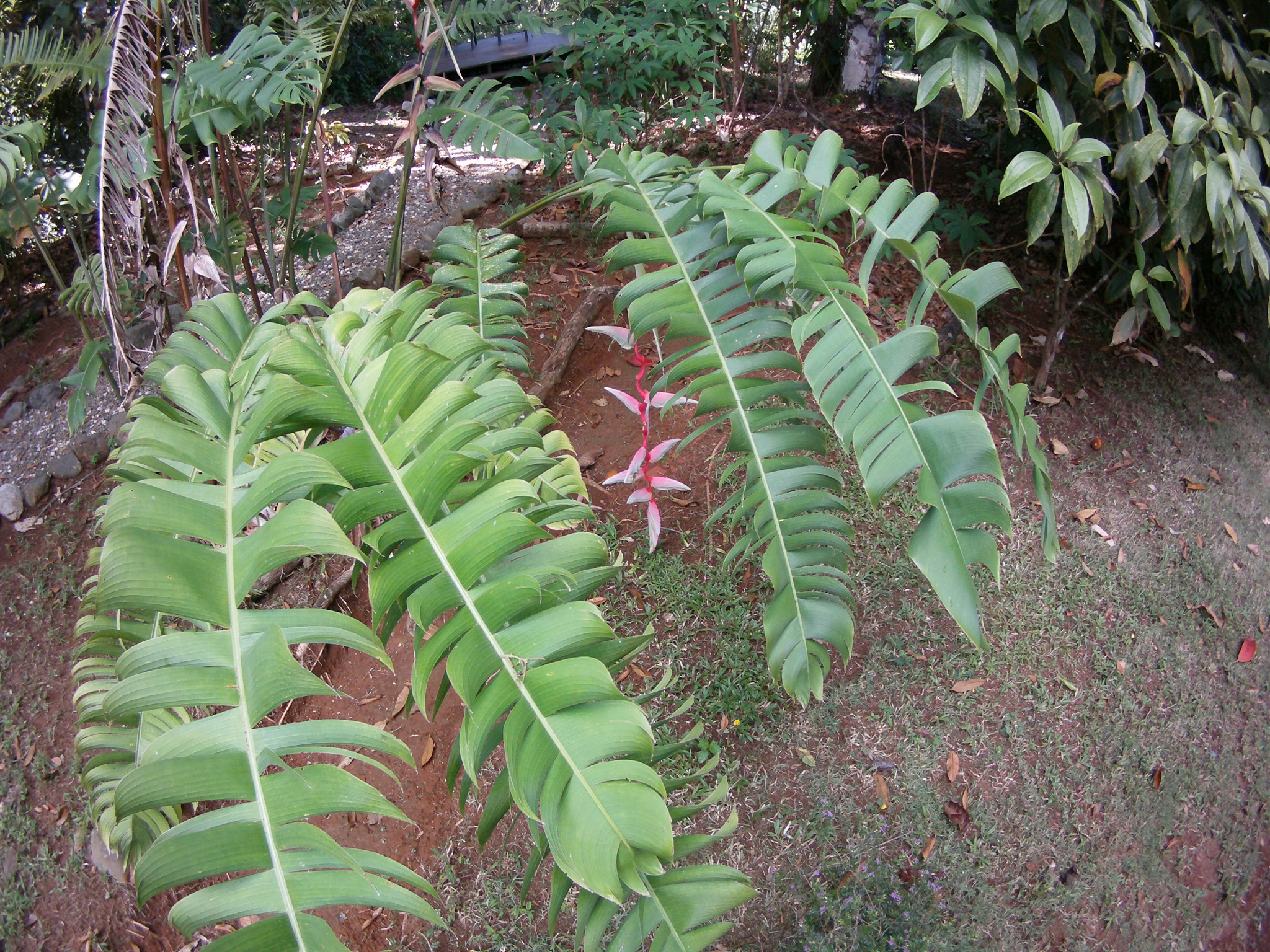AMBA0130.JPG\n1,755.83 KB \n2048 x 1536 \n5/27/14\n