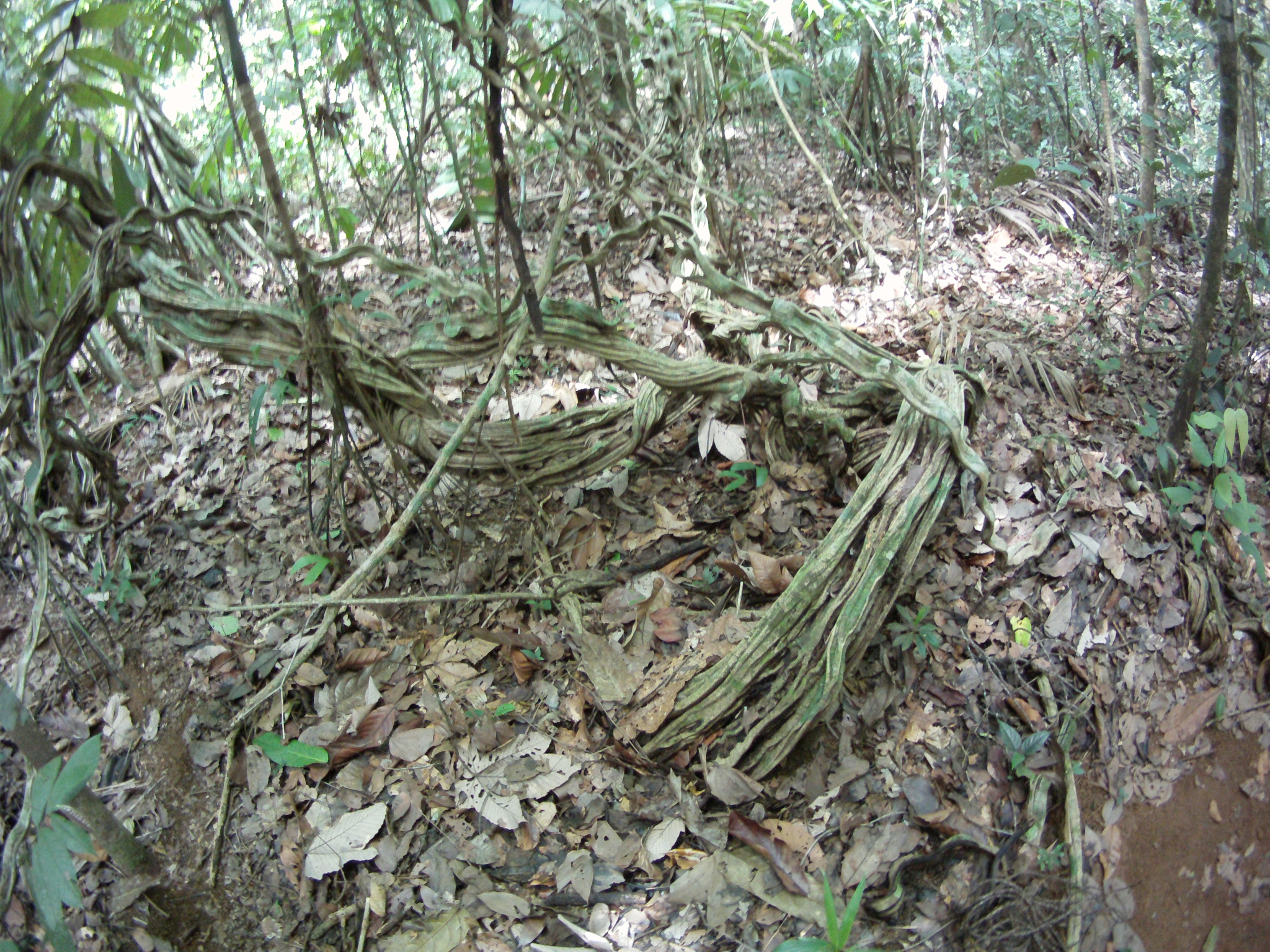 AMBA0159.JPG\n1,699.22 KB \n2048 x 1536 \n5/27/14\n