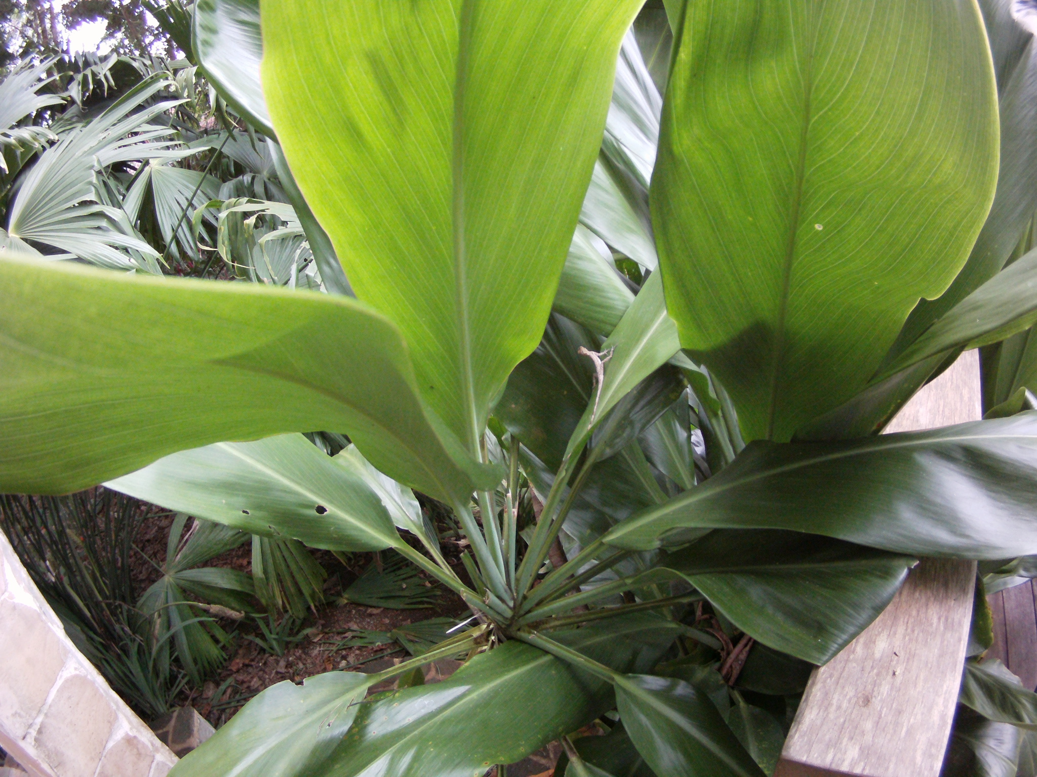 AMBA0185.JPG\n1,196.69 KB \n2048 x 1536 \n5/27/14\n