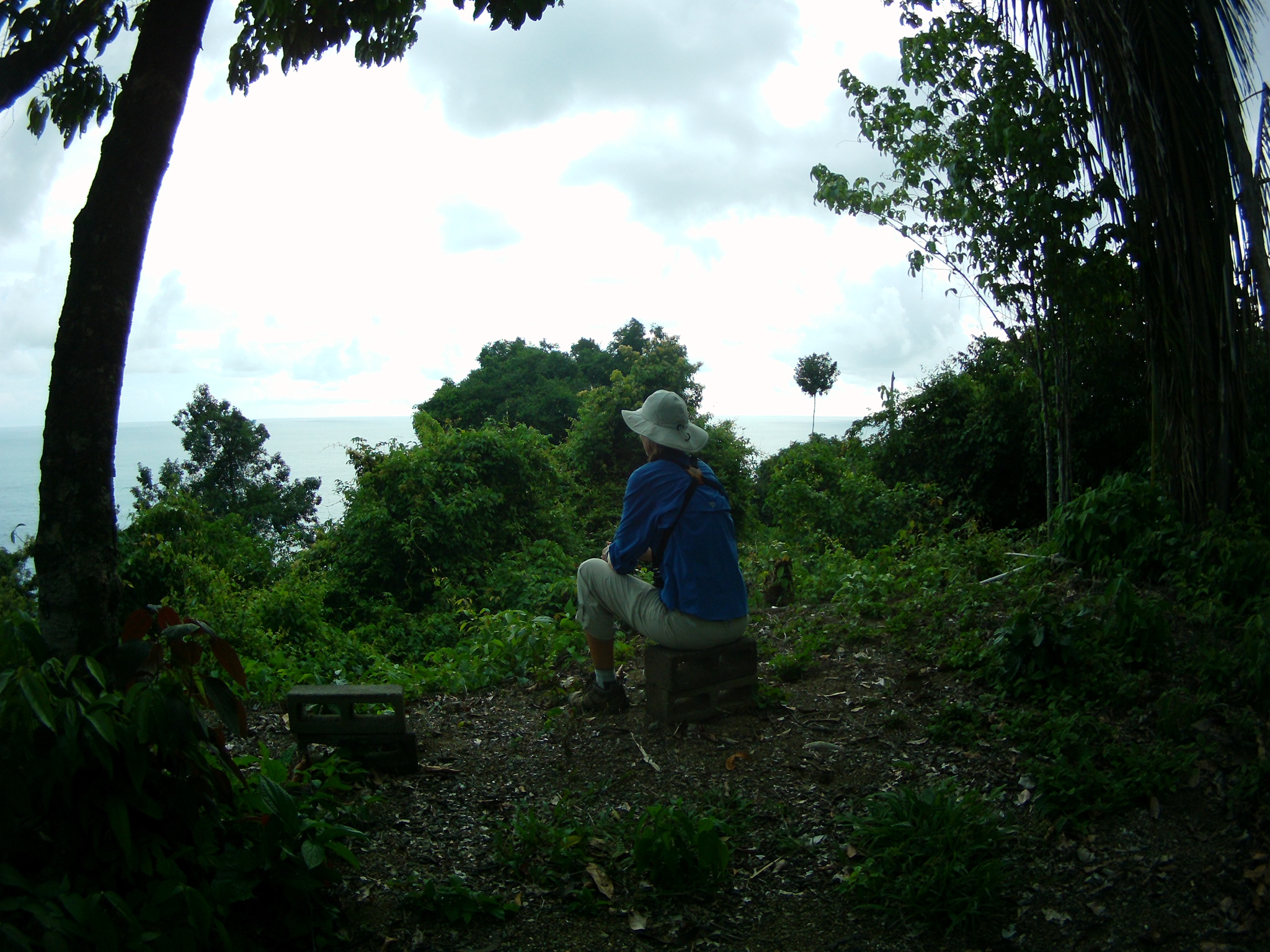 AMBA0193.JPG\n1,105.93 KB \n2048 x 1536 \n5/27/14\n