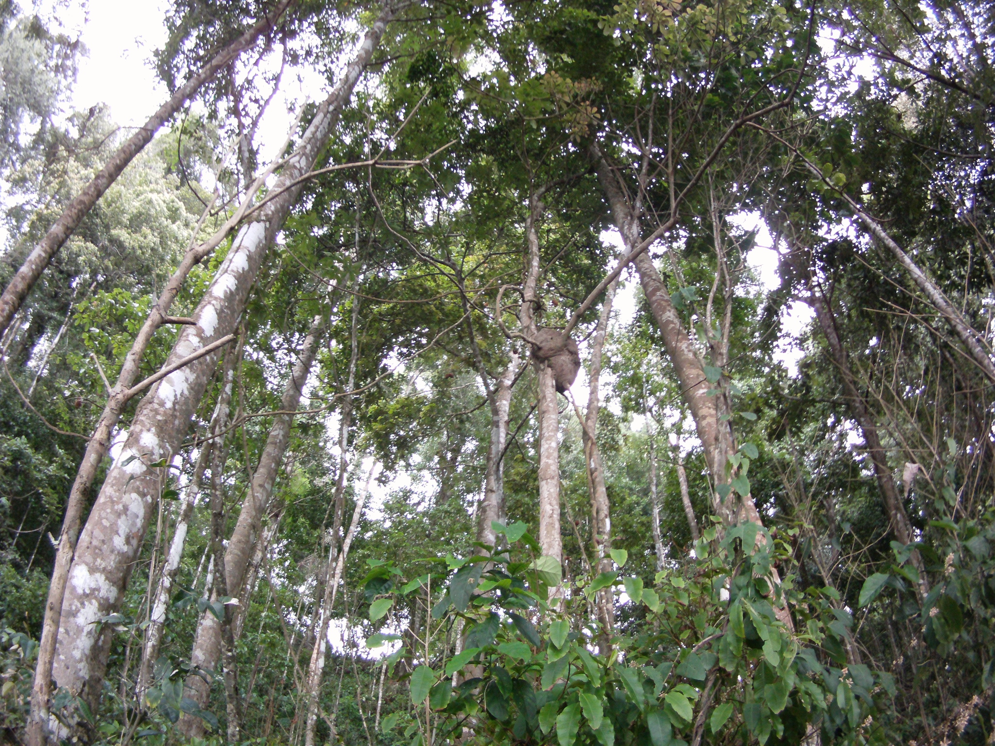 AMBA0201.JPG\n1,830.44 KB \n2048 x 1536 \n5/27/14\n