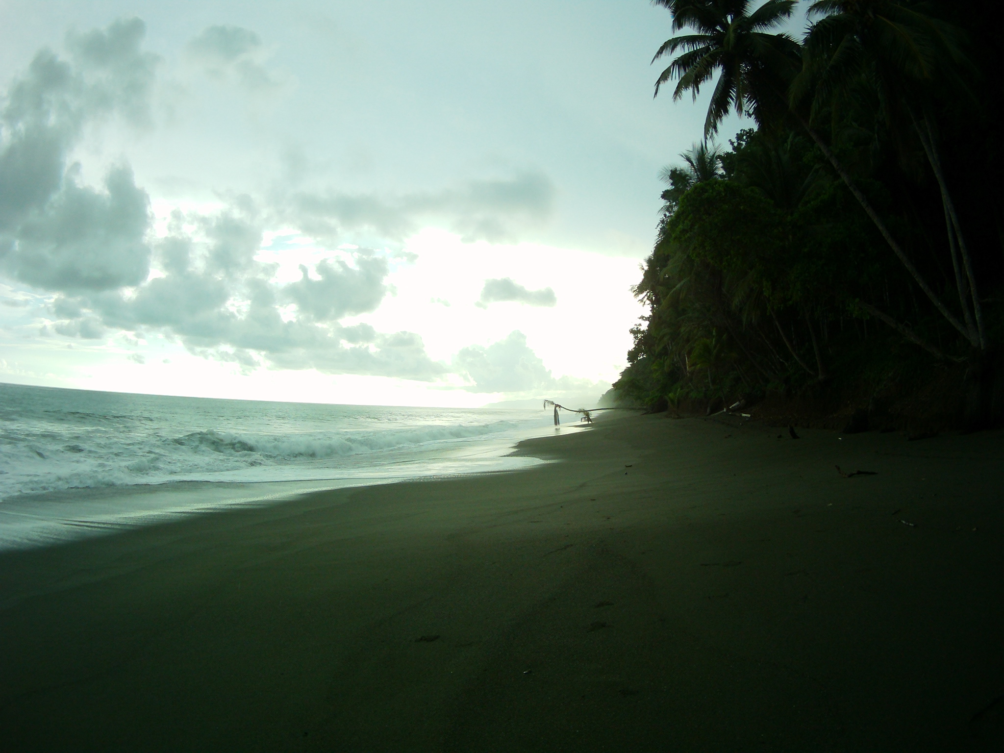AMBA0209.JPG\n705.01 KB \n2048 x 1536 \n5/27/14\n