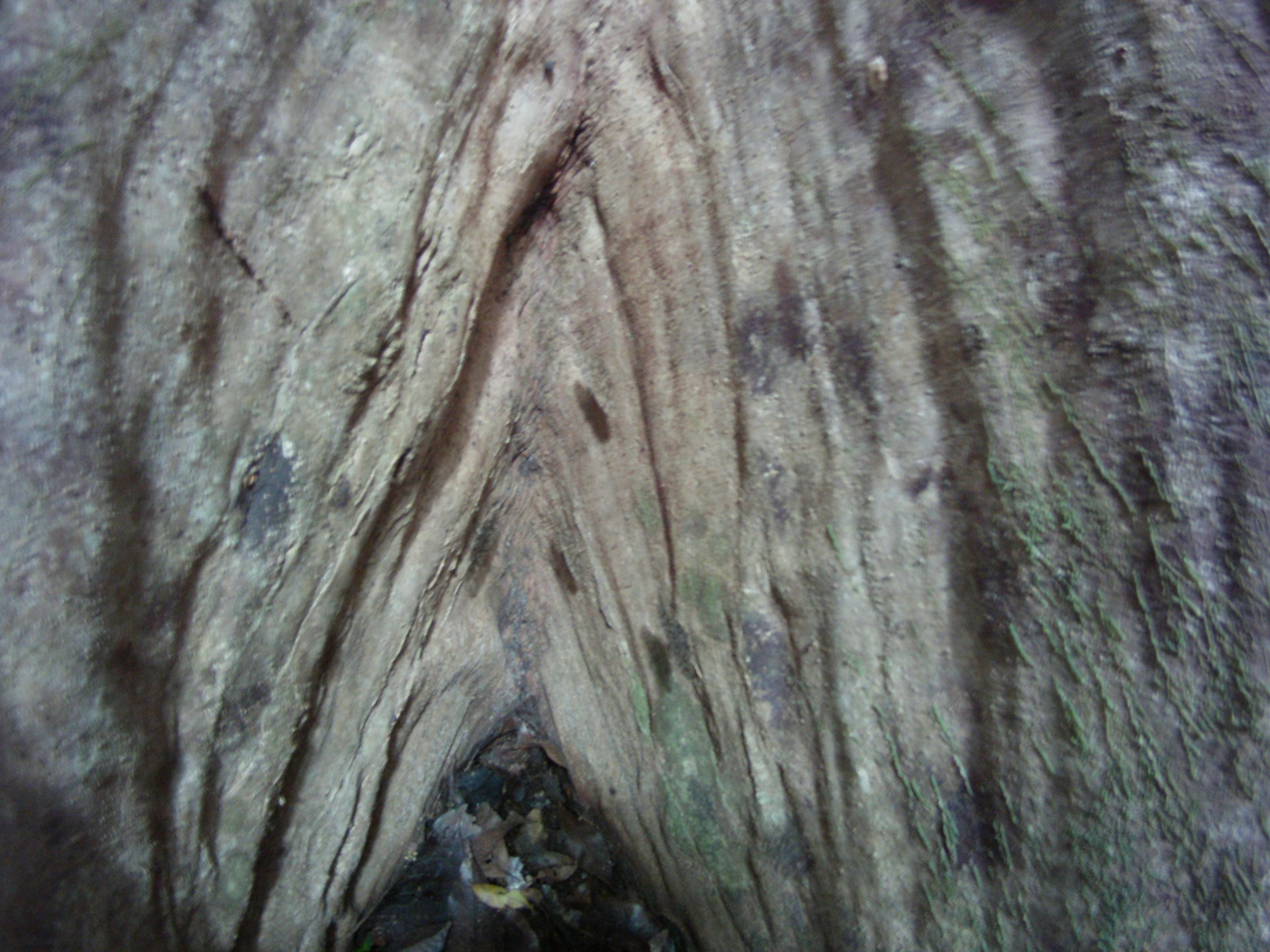 AMBA0226.JPG\n1,137.86 KB \n2048 x 1536 \n5/28/14\n