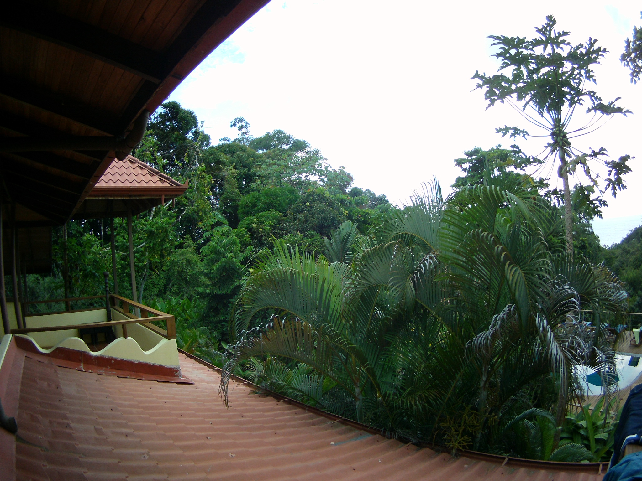 AMBA0240.JPG\n1,161.17 KB \n2048 x 1536 \n5/28/14\n