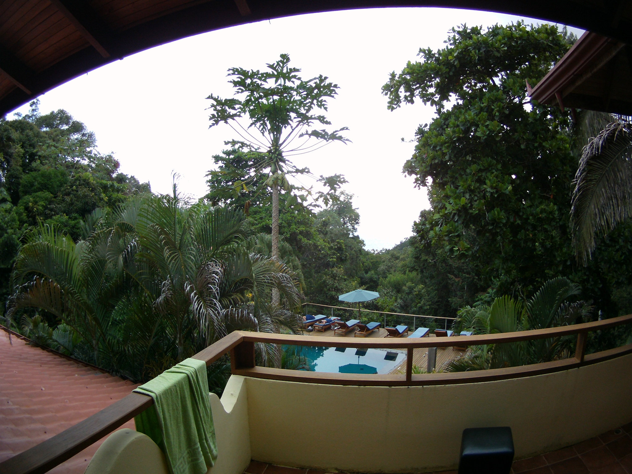 AMBA0245.JPG\n1,145.07 KB \n2048 x 1536 \n5/28/14\n