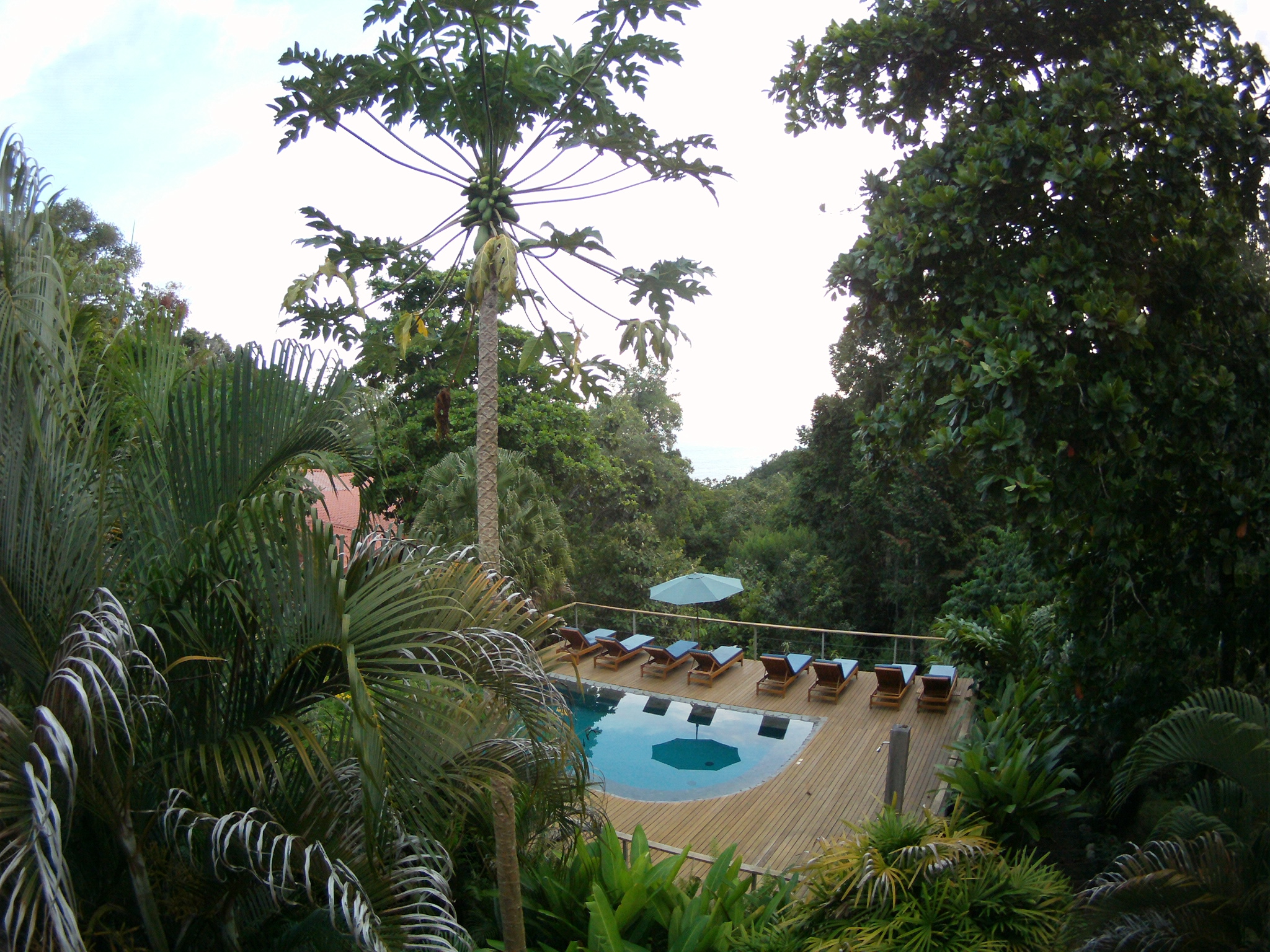 AMBA0424.JPG\n1,375.84 KB \n2048 x 1536 \n5/29/14\n