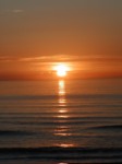 P6070081a.JPG
333.68 KB 
1200 x 1600 
6/7/2004
