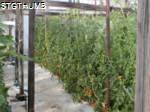 P2050144.JPG
OLYMPUS DIGITAL CAMERA
450.13 KB
1600 x 1200
2/5/2011