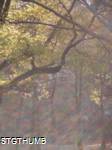 PB200113a.JPG
479.01 KB
960 x 1280
12/8/2009