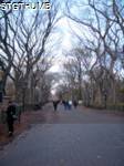 PB200126a.JPG
492.13 KB
960 x 1280
12/8/2009