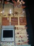 PB200207a.JPG
462.91 KB
960 x 1280
12/8/2009