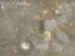 P7220012b.JPG
636.60 KB
1280 x 960
7/22/2009