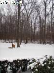 PC290074a.JPG
492.25 KB
960 x 1280
1/12/2010