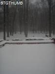 PC220066a.JPG
708.25 KB
1200 x 1600
2/3/2011