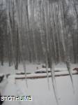 PC220068a.JPG
706.09 KB
1200 x 1600
2/3/2011