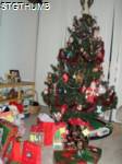 PC250098a.JPG
749.76 KB
1200 x 1600
2/3/2011