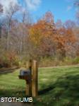 PB010223a.JPG
796.42 KB
1200 x 1600
2/3/2011
