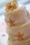 0850.jpg
798.36 KB
2336 x 3504
3/31/2008