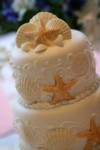 0860.jpg
1,021.94 KB
2336 x 3504
4/1/2008